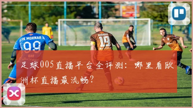足球005直播平台全评测：哪里看欧洲杯直播最流畅？