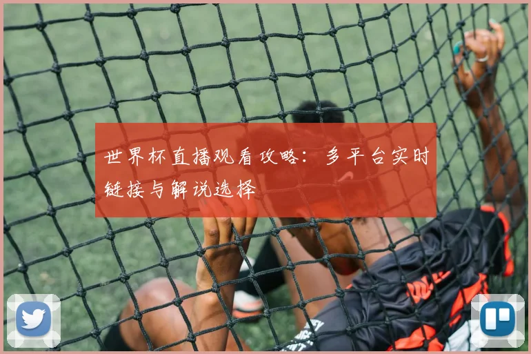 世界杯直播观看攻略：多平台实时链接与解说选择