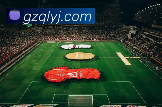 数据防护可视化